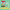 Nintendo Switch 2 - Animal Crossing: New Horizons