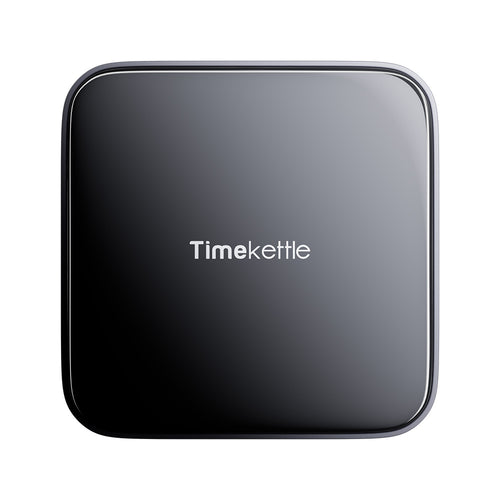 TimeKettle W4 Pro AI Interpreter Earbuds (Grey)